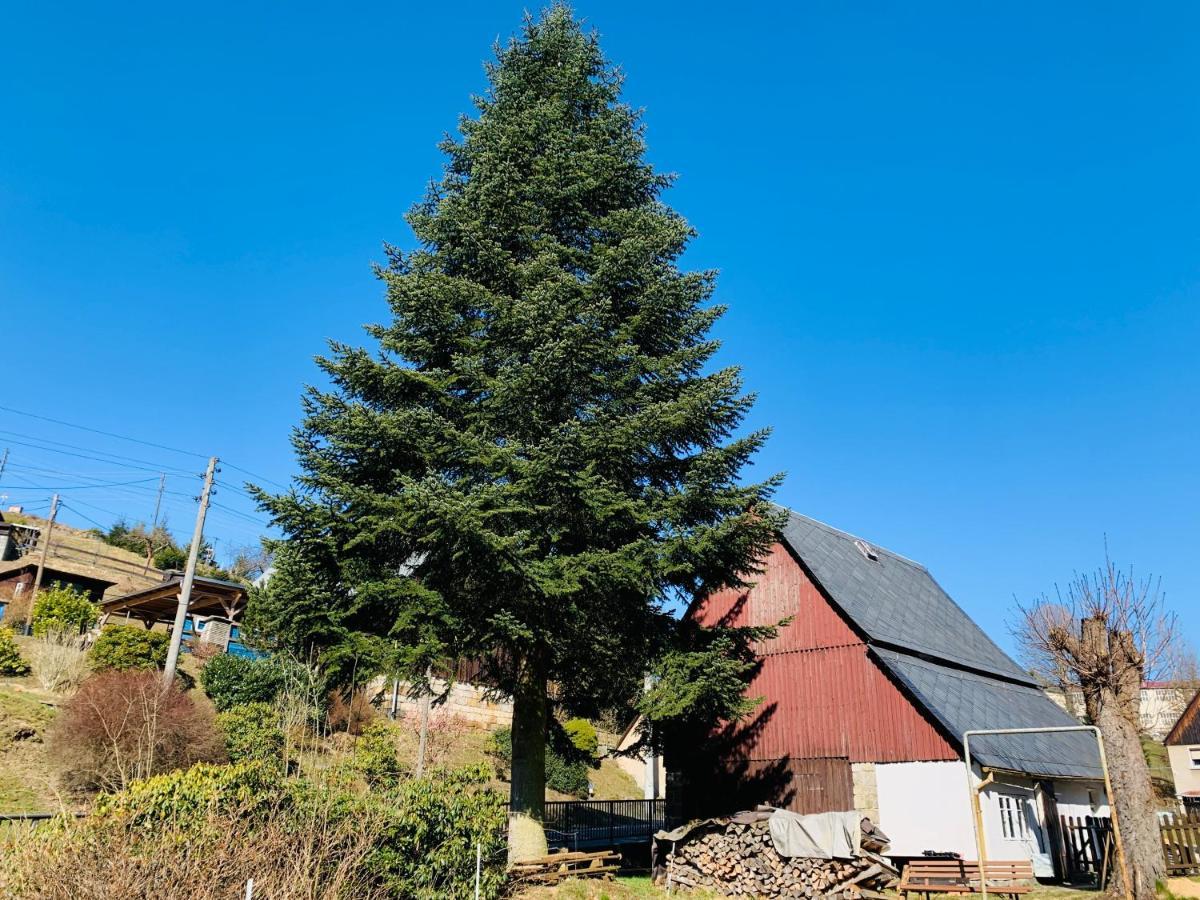 Naturhof Kluge Saupsdorf المظهر الخارجي الصورة