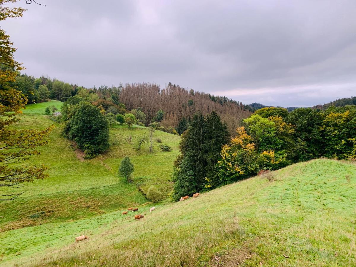 Naturhof Kluge Saupsdorf المظهر الخارجي الصورة