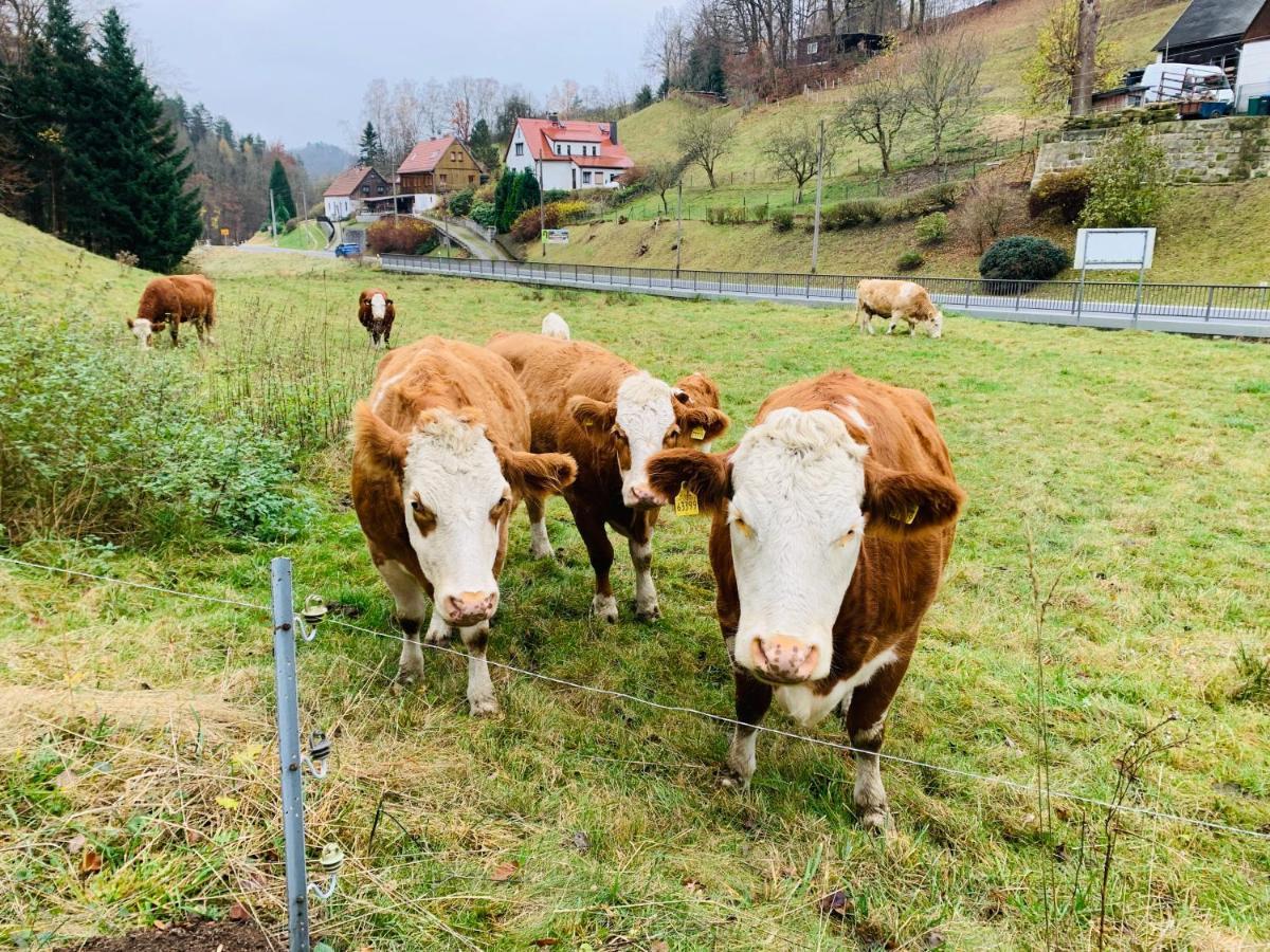 Naturhof Kluge Saupsdorf المظهر الخارجي الصورة