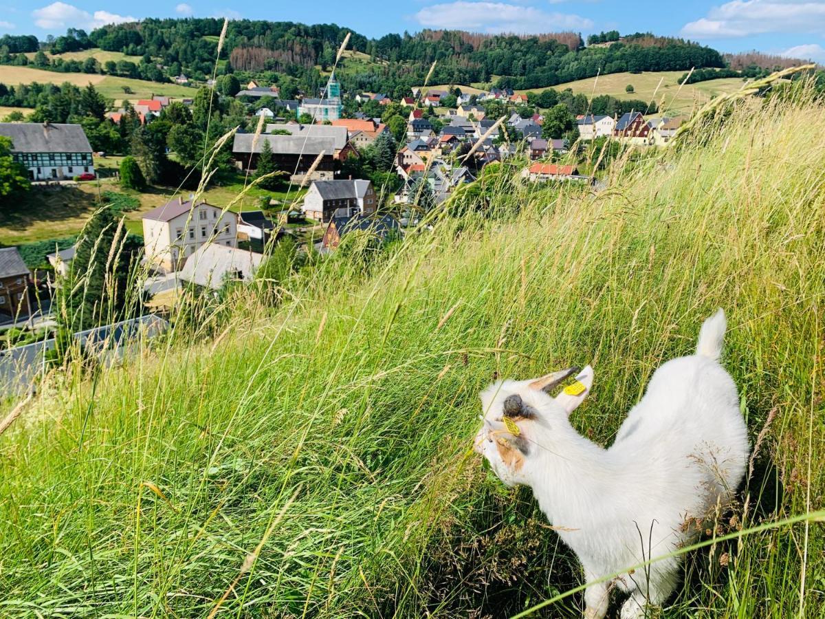 Naturhof Kluge Saupsdorf المظهر الخارجي الصورة