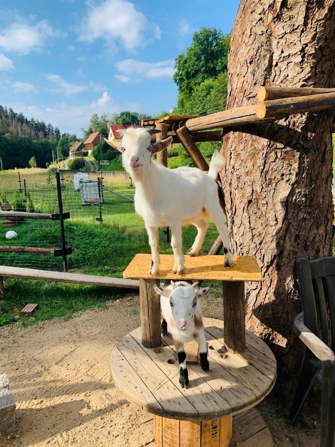 Naturhof Kluge Saupsdorf المظهر الخارجي الصورة